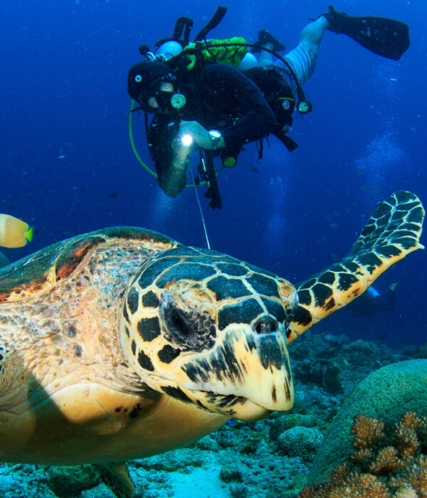 Andaman Tour travel agency