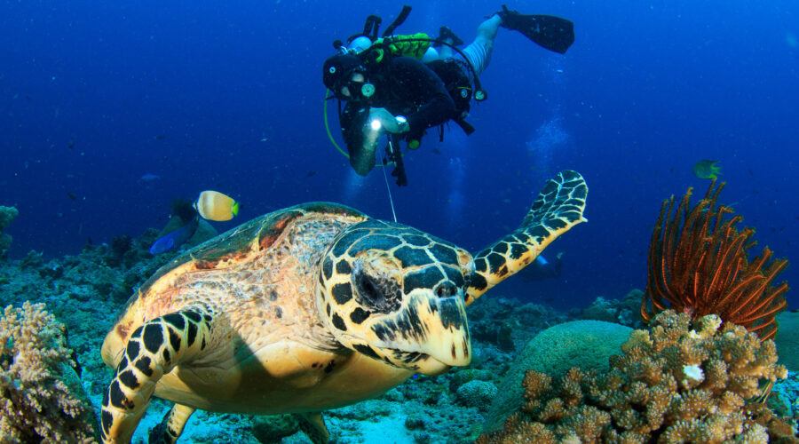 Andaman Tour travel agency
