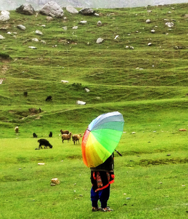 Pangi tour package Adventure Delight