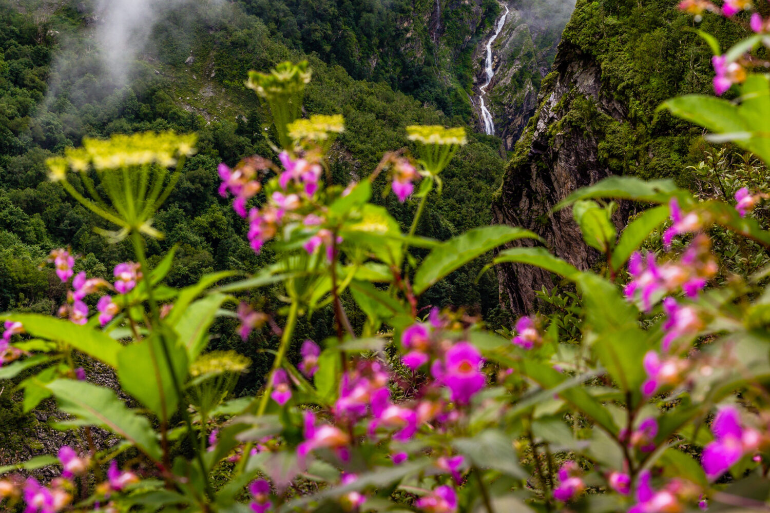 Valley of flowers Trek With Badrinath