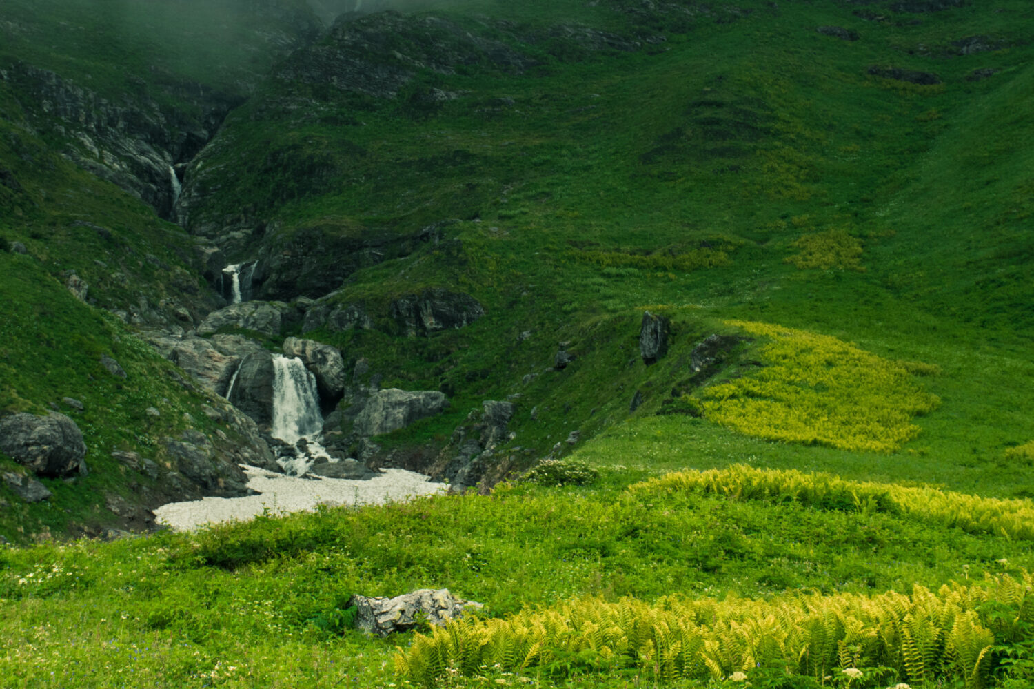 Valley of flowers Trek With Badrinath