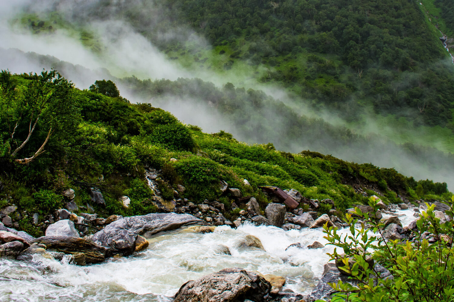 Valley of flowers Trek With Badrinath