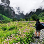 Valley of Flowers 5 Days tour from Haridwar