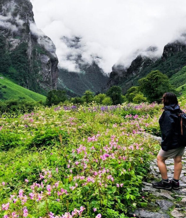 Valley of Flowers 5 Days tour from Haridwar