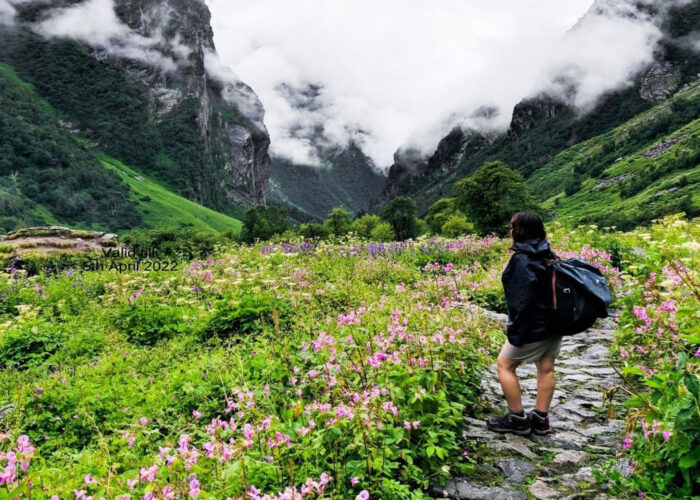 Valley of Flowers 5 Days tour from Haridwar