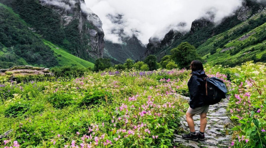 Valley of Flowers 5 Days tour from Haridwar