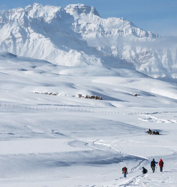 white-spiti-tour