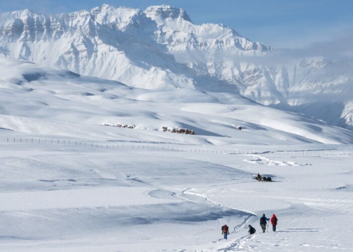 white-spiti-tour