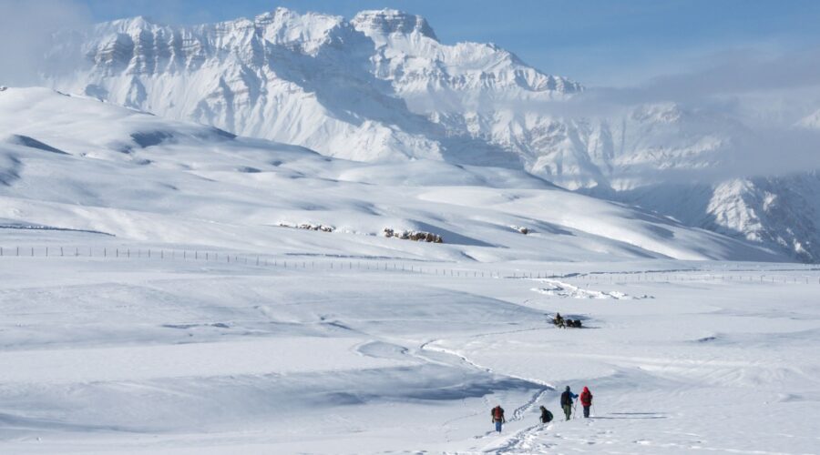 white-spiti-tour