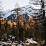 manali tour