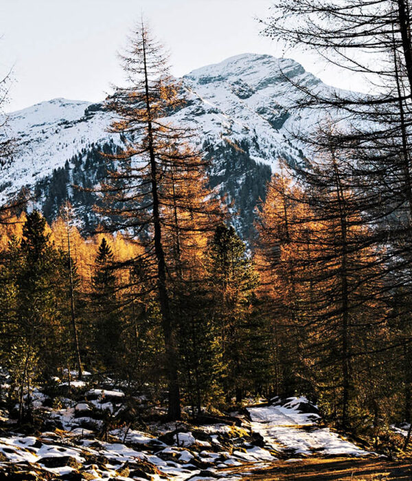 manali tour