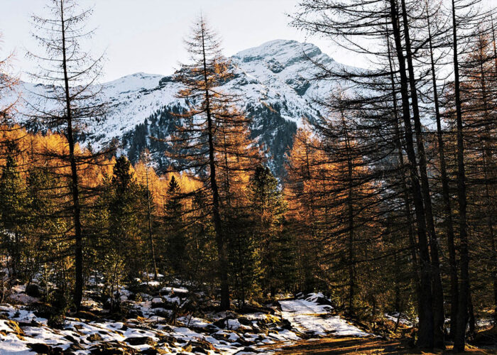 manali tour